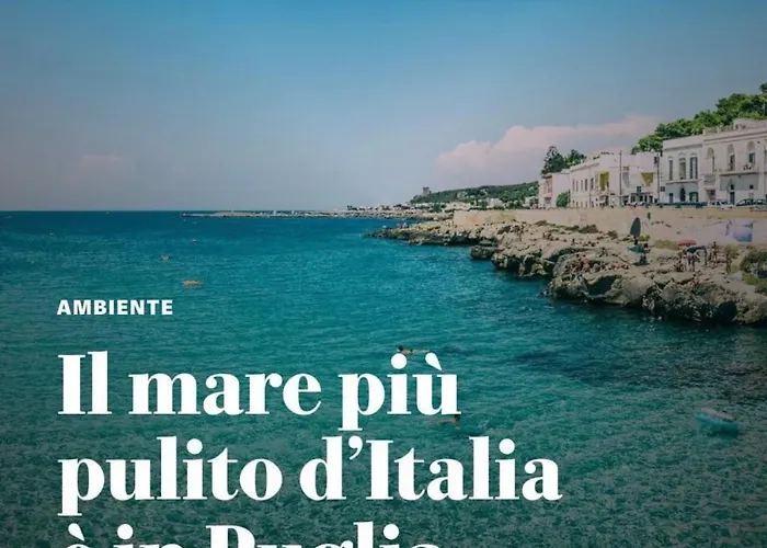 Licasedimare