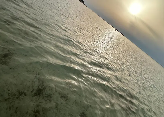Licasedimare